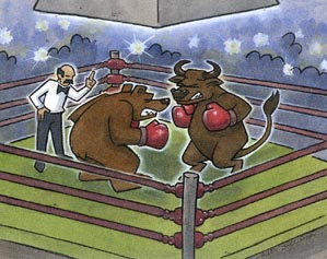 Bear and Bull Boxing